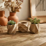Geometric Faceted Planter | 3D Printed | NOZZLECO