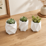 Geometric Faceted Planter | 3D Printed | NOZZLECO