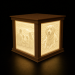 Lithophane Light Box | 3D Printed | NOZZLECO