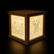 Lithophane Light Box | 3D Printed | NOZZLECO