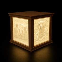 Lithophane Light Box | 3D Printed | NOZZLECO